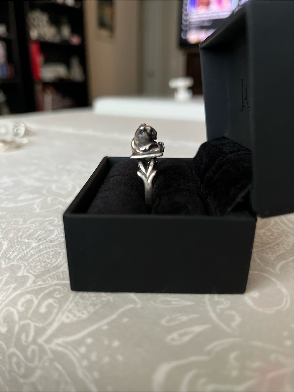 ARCANA OBSCURA Guardian Ring Sterling Silver - Picture 2 of 5